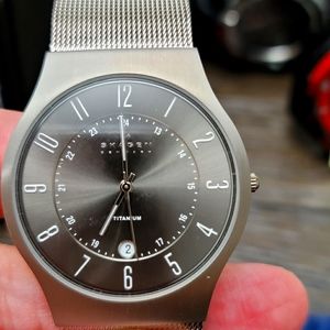 Mens Skagen Watch